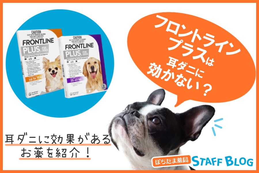 フロントラインプラスは耳ダニに効果なし!?駆除効果のあるお薬は何？