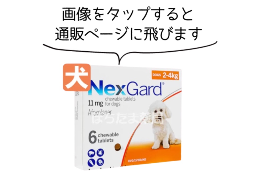 「ネクスガード」など違う駆除薬に変更する