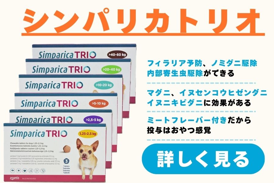シンパリカトリオ