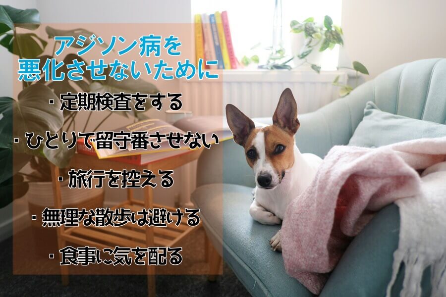 愛犬のアジソン病を悪化させないための接し方