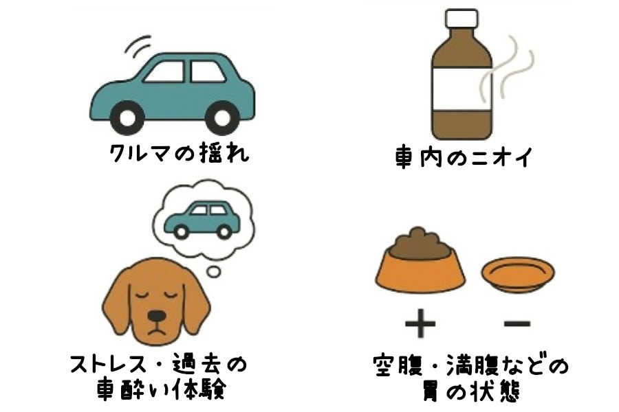 犬が車酔いする原因