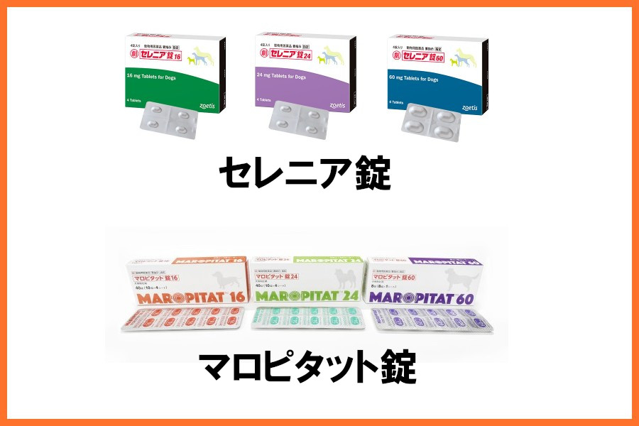 マロピタント