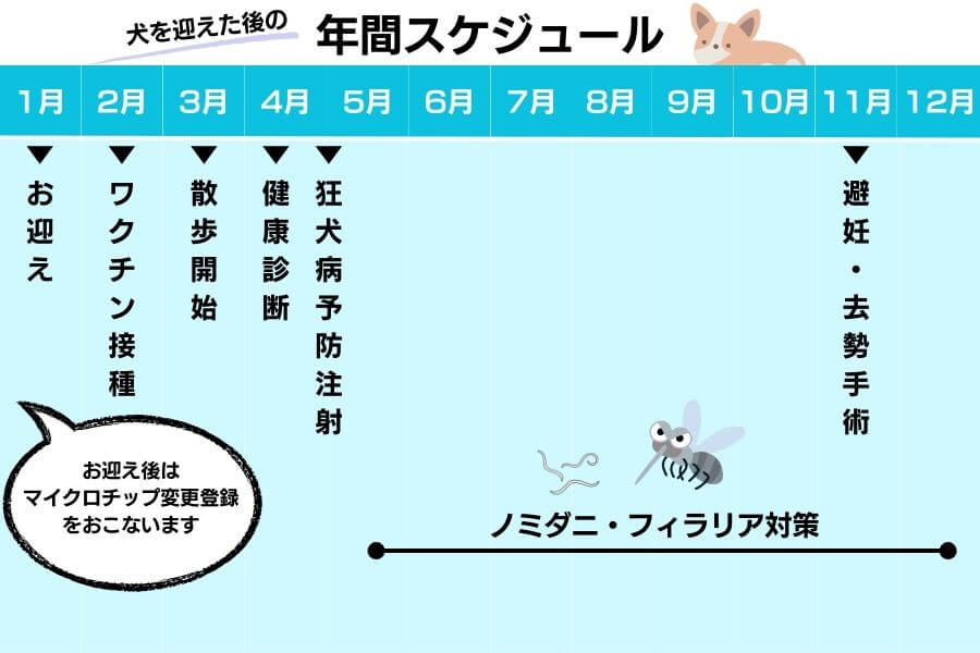 犬を迎えたあとの年間スケジュール