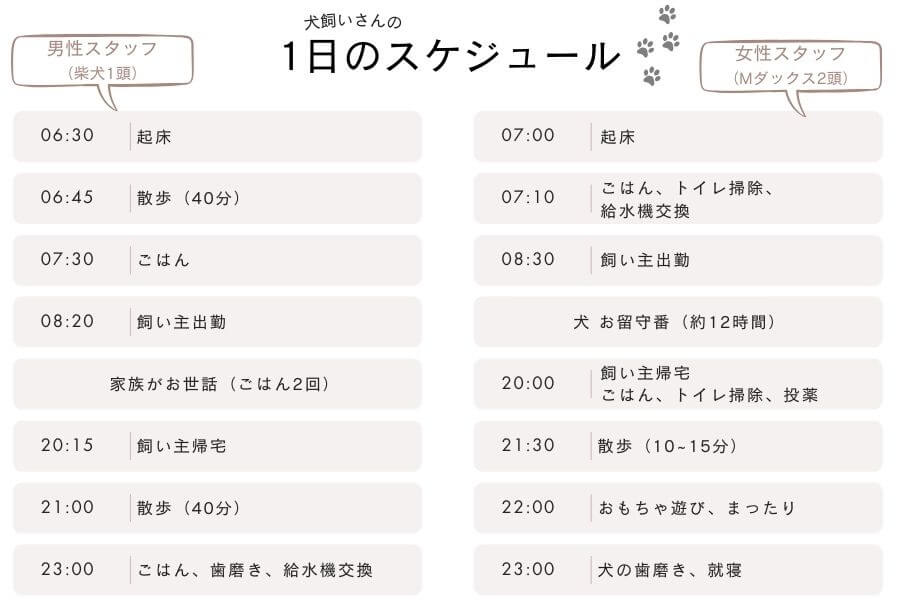 犬を飼っている人のリアルな1日