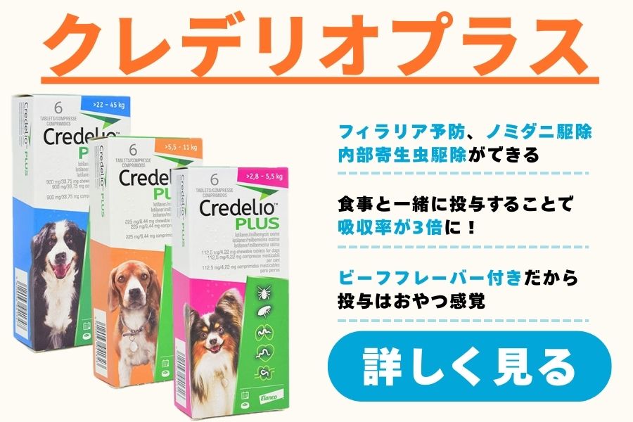 クレデリオプラス