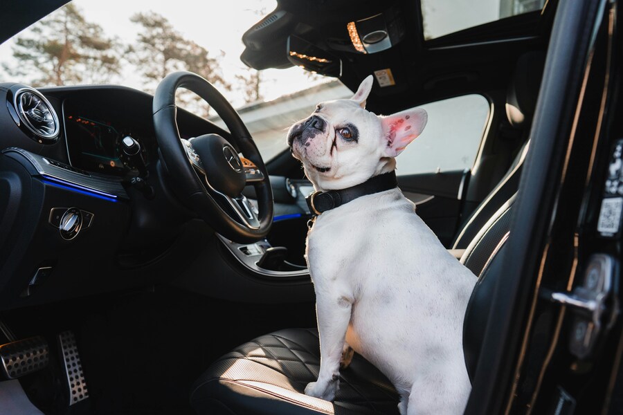 エンジンをかけた状態で車に乗せる