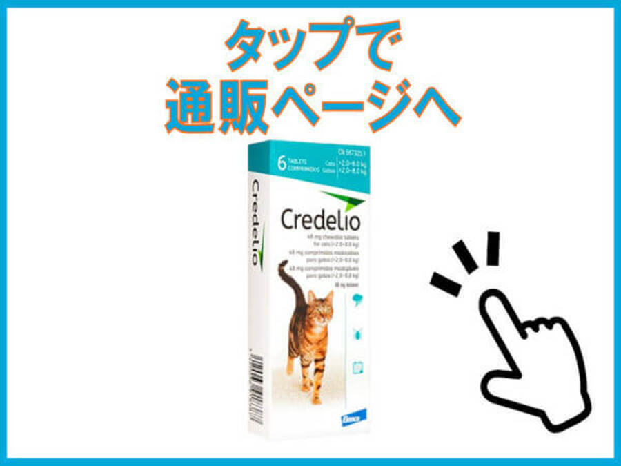 クレデリオ錠（猫用）