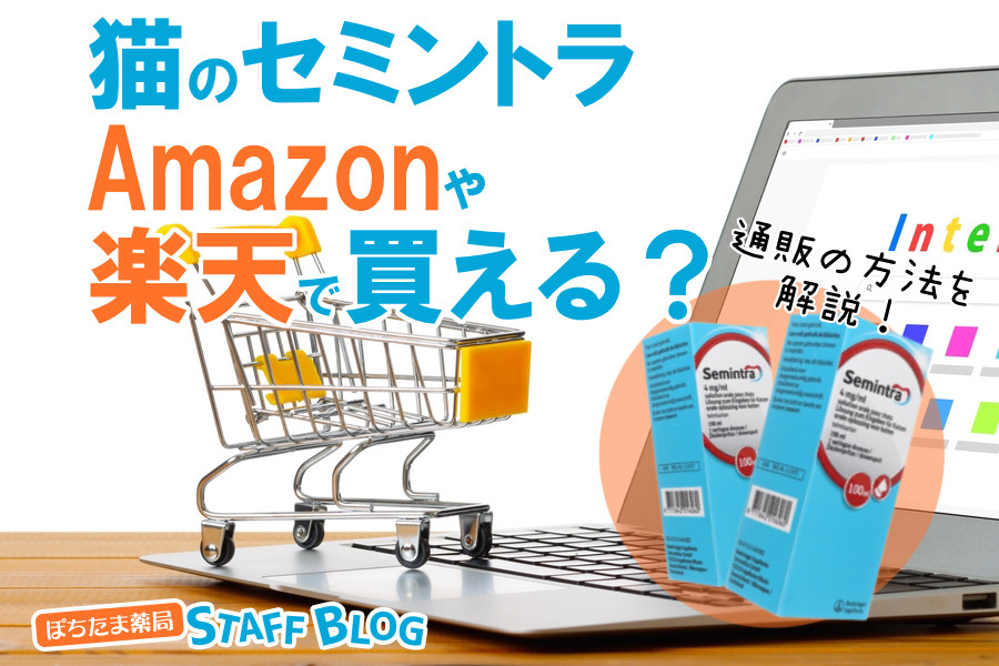 猫のセミントラはAmazonや楽天で購入できる？セミントラの通販方法を解説