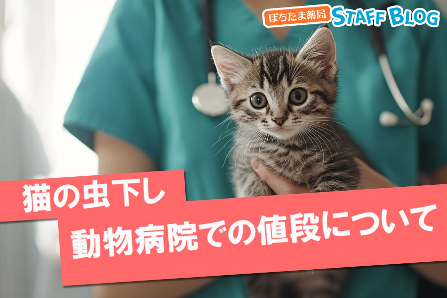 猫の虫下しにかかる動物病院での値段はどのくらい？