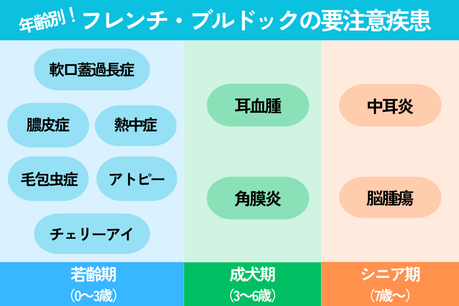 年齢別のフレンチブルドックが注意すべき病気