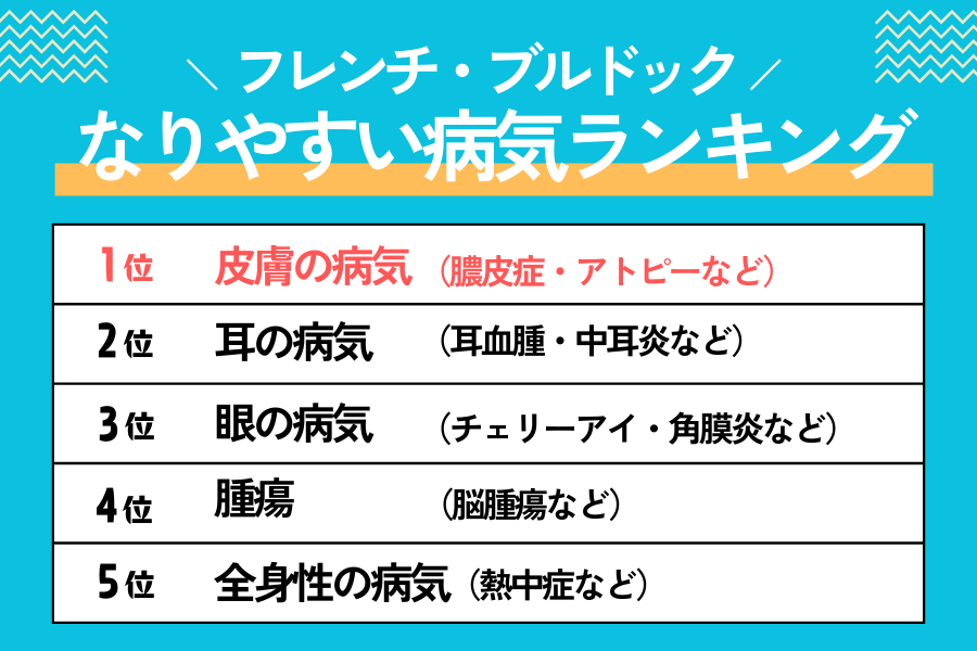 フレンチブルドックがなりやすい病気ランキング