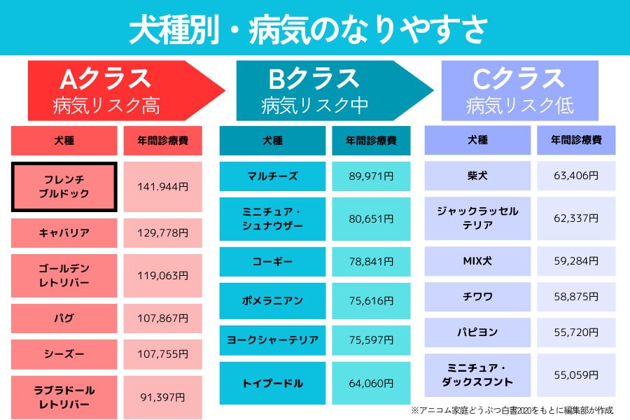 犬種別の病気のなりやすさリスト