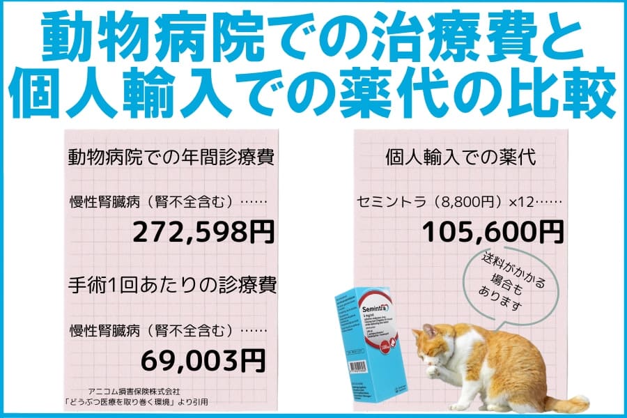 動物病院での治療費と薬を<br />個人輸入で購入した場合の比較” width=”900″ height=”600″ class=”alignnone size-full wp-image-14438″ /></p>
<p><span class=