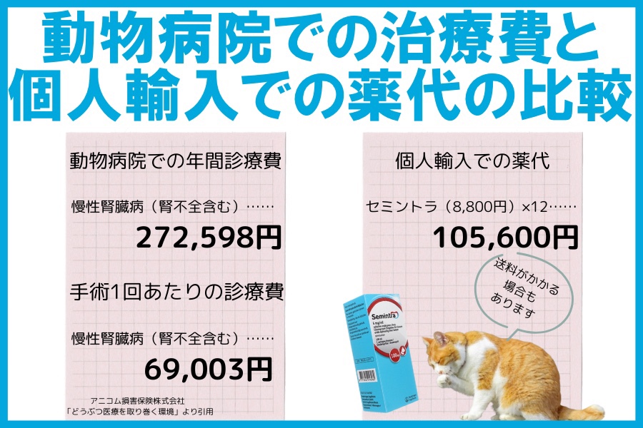 猫の腎不全の治療費が払えない…年間費用を半分以上抑える方法