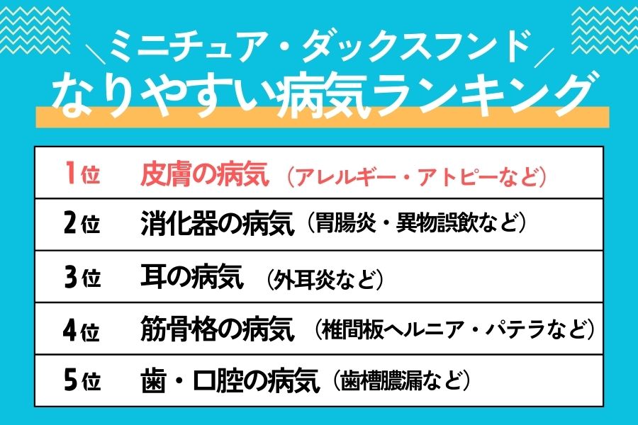 ミニチュア・ダックスフンドがかかりやすい病気ランキング