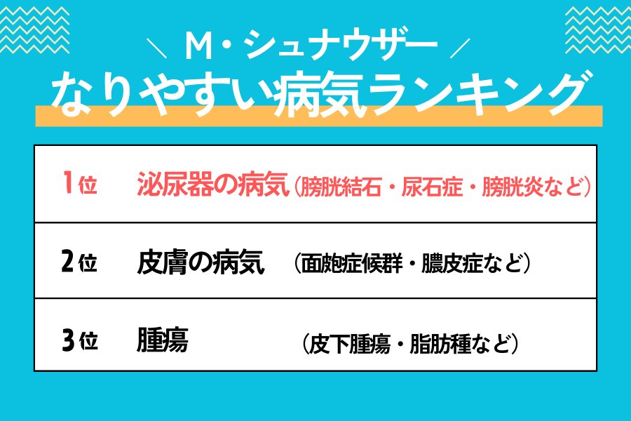 シュナウザーがなりやすい病気ランキング