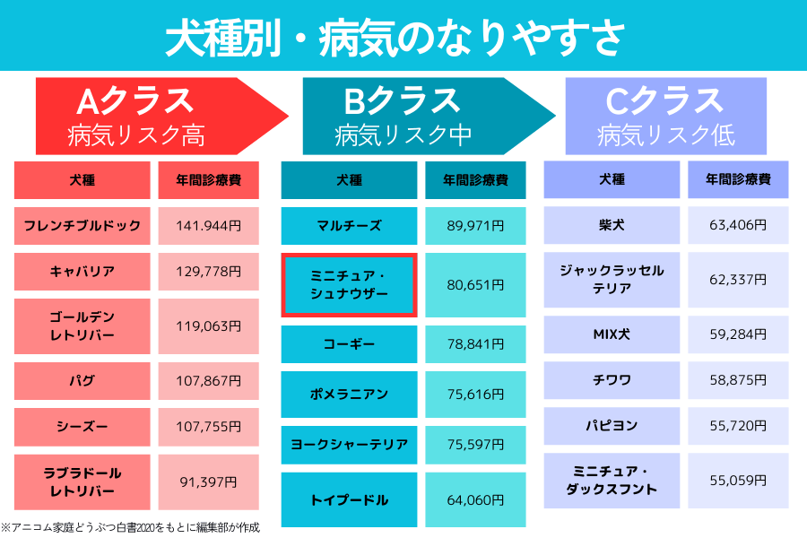 犬種別の病気のなりやすさリスト