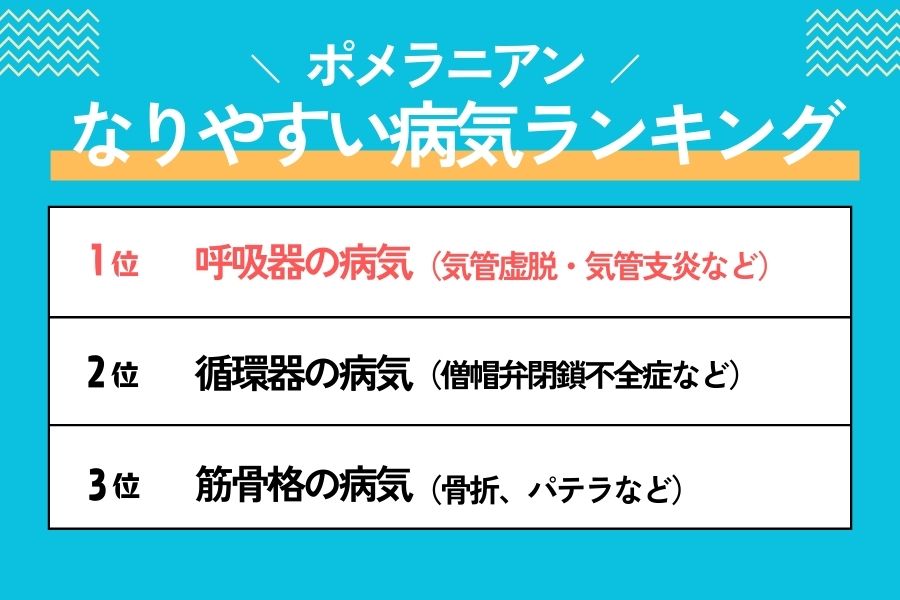 ポメラニアンがかかりやすい病気ランキング