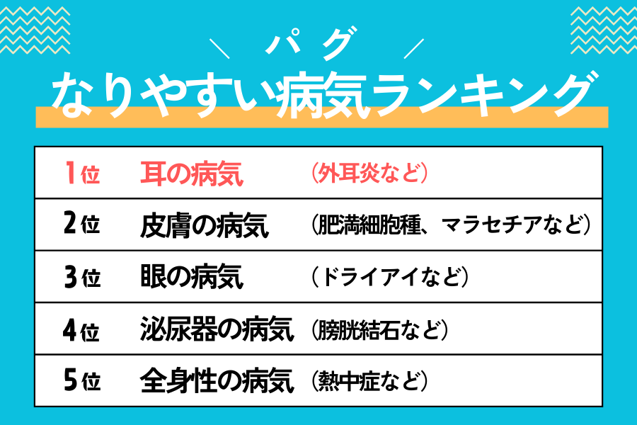 パグがなりやすい病気ランキング