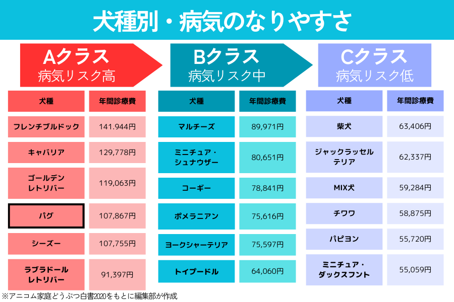 犬種別の病気のなりやすさリスト