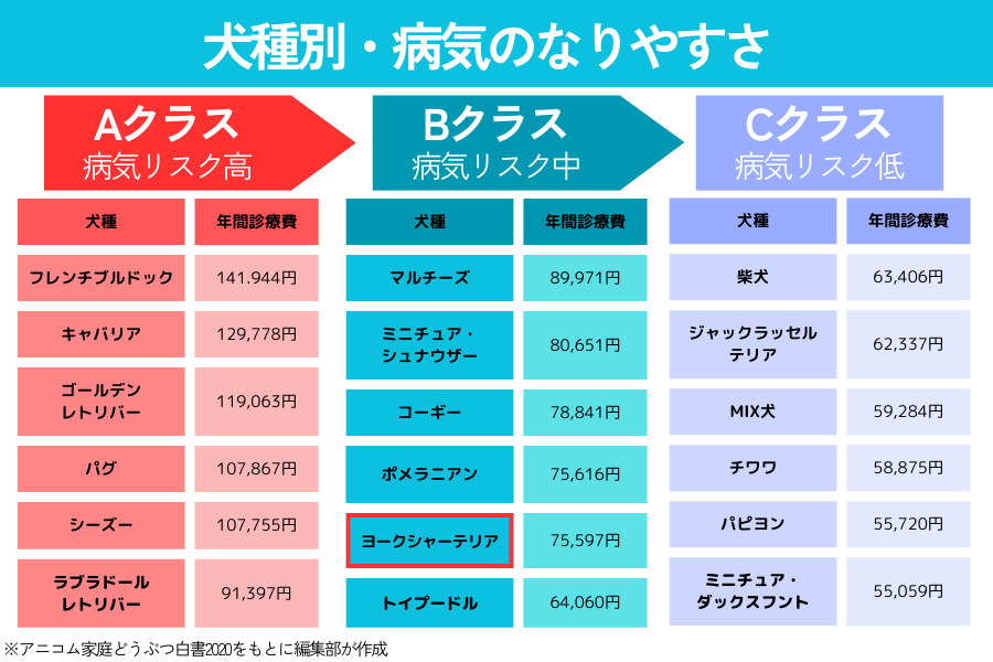 犬種別の病気のなりやすさリスト