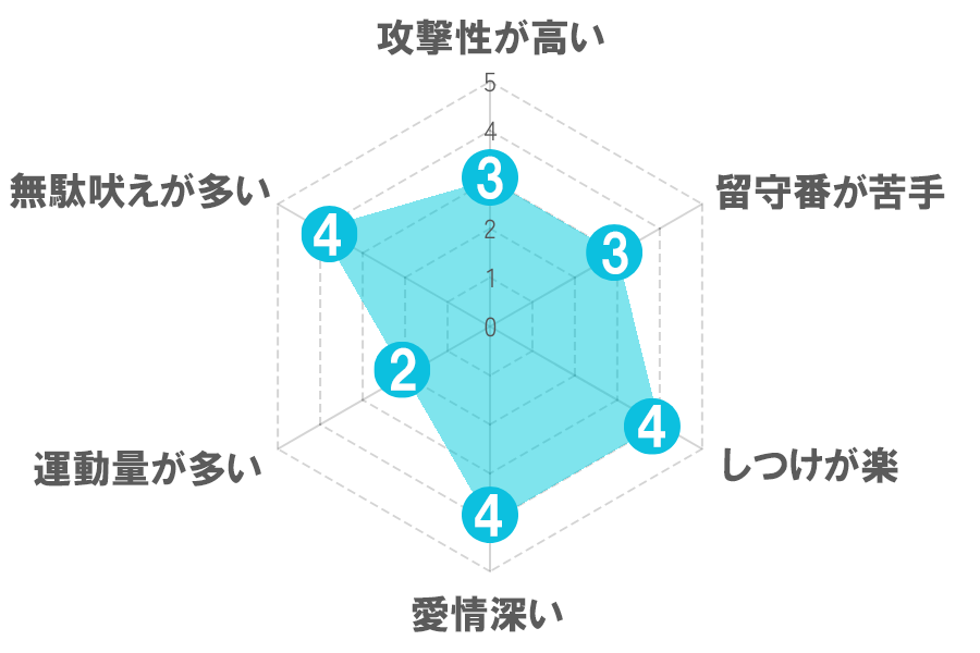 トイプードル性質レーダーチャート