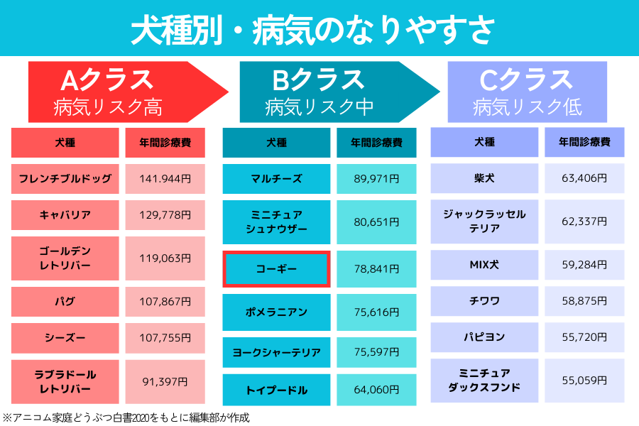 犬種別の病気のなりやすさランキングにおけるコーギーの順位