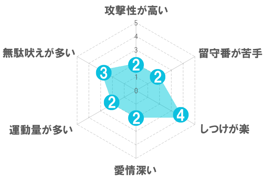 コーギー性質レーダーチャート