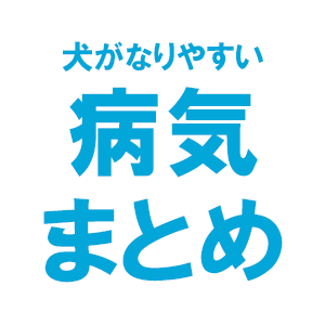 犬がなりやすい病気