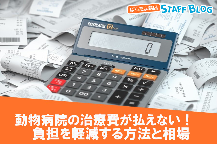 動物病院の治療費が払えない！負担を軽減する方法と相場