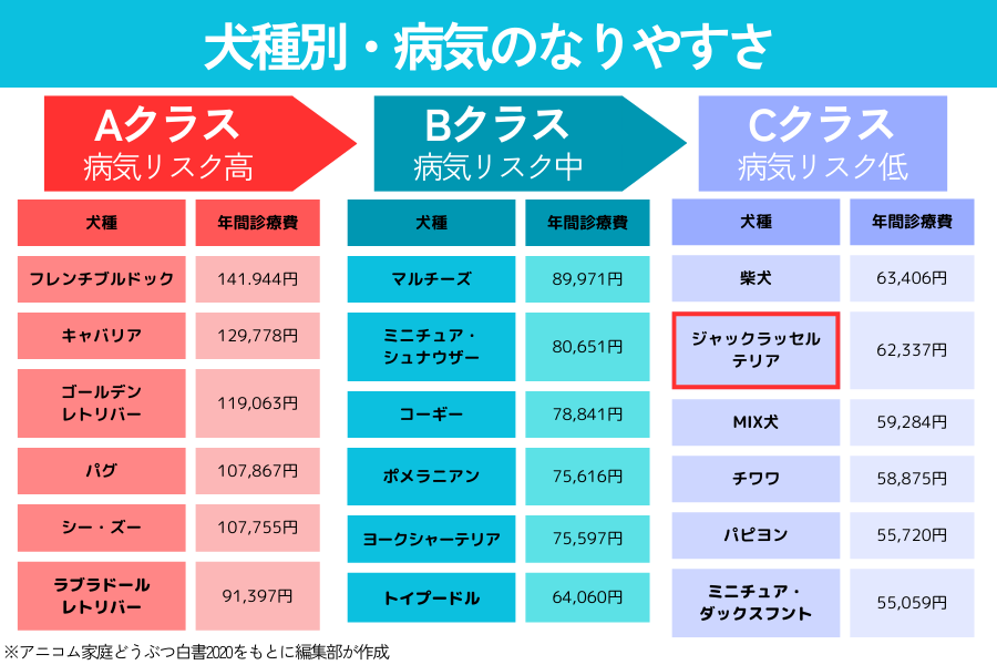 犬種別の病気のなりやすさリスト