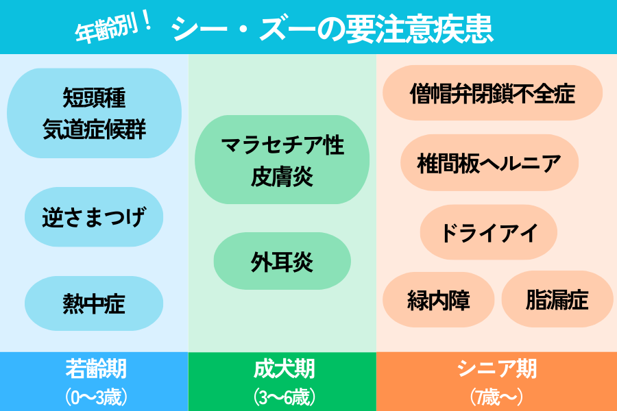 年齢別のシー・ズーが注意すべき病気