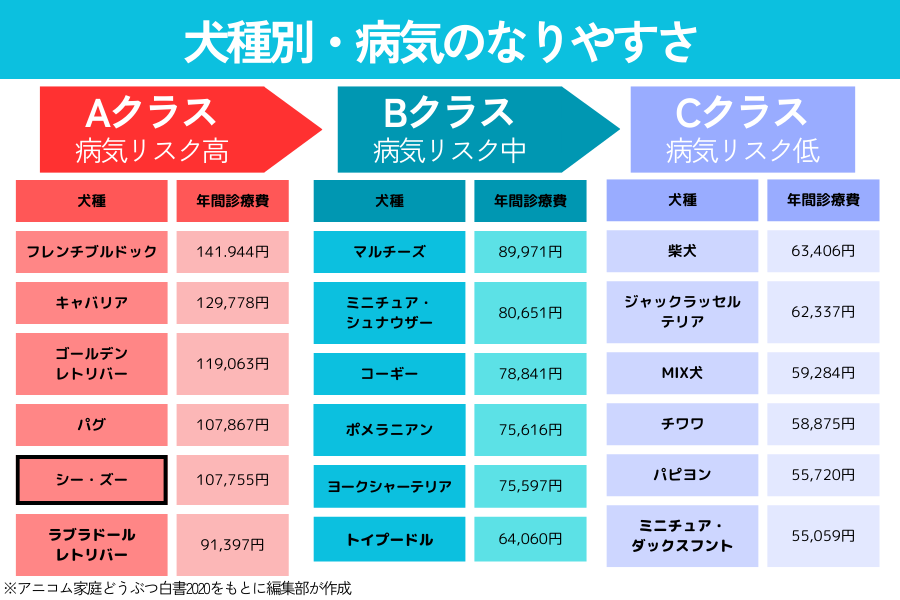 犬種別の病気のなりやすさリスト