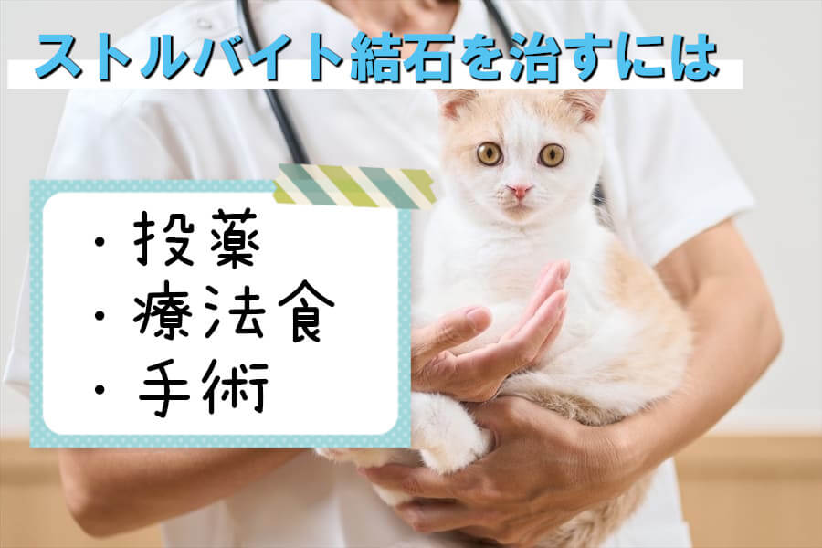 猫のストルバイト結石の治し方は？