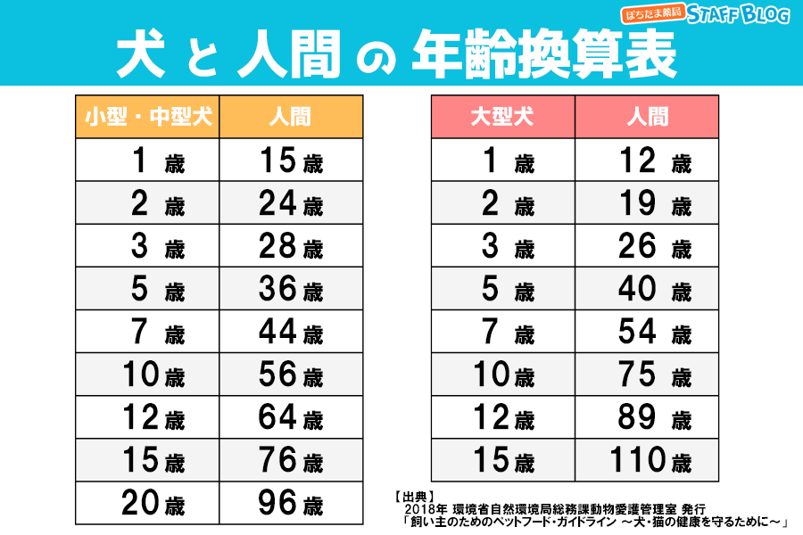 犬と人間の年齢換算表