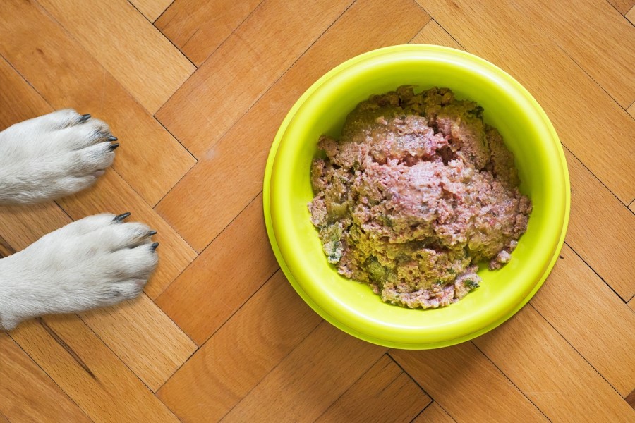 栄養バランスの良い食事とサプリメント