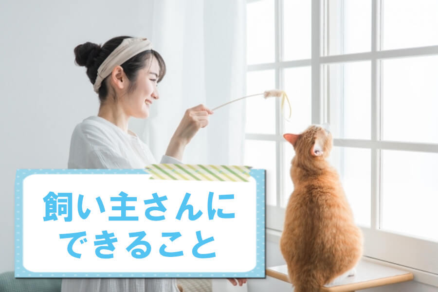 再発を予防する為に飼い主さんができること