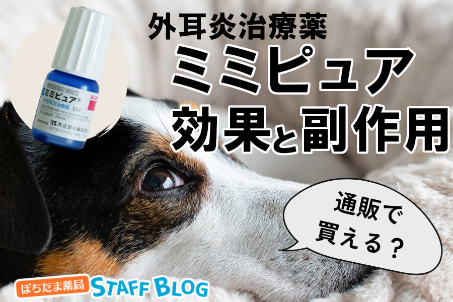 犬のミミピュアの効果とは？通販で買える？気になる副作用や使い方を紹介