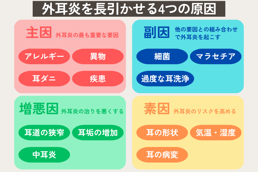 外耳炎を長引かせる4つの原因