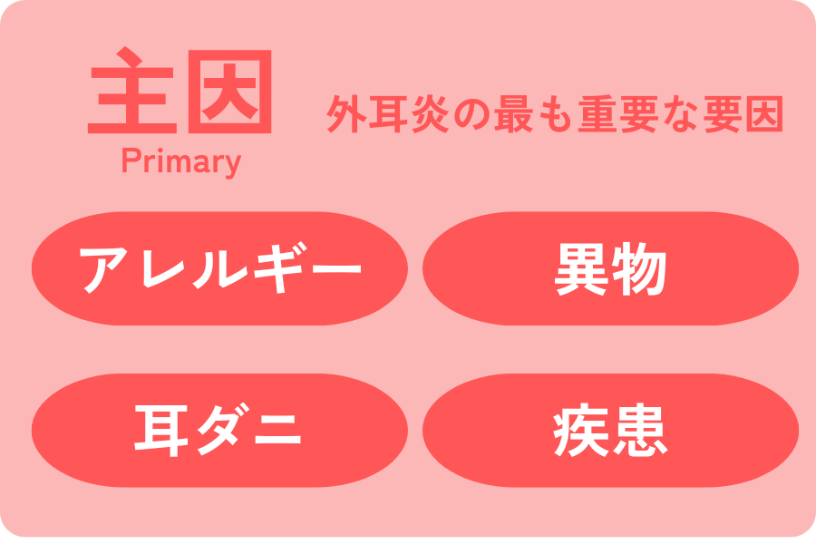 犬の外耳炎の原因におけるPSPP分類のうち主因