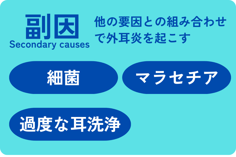 犬の外耳炎の原因におけるPSPP分類のうち副因