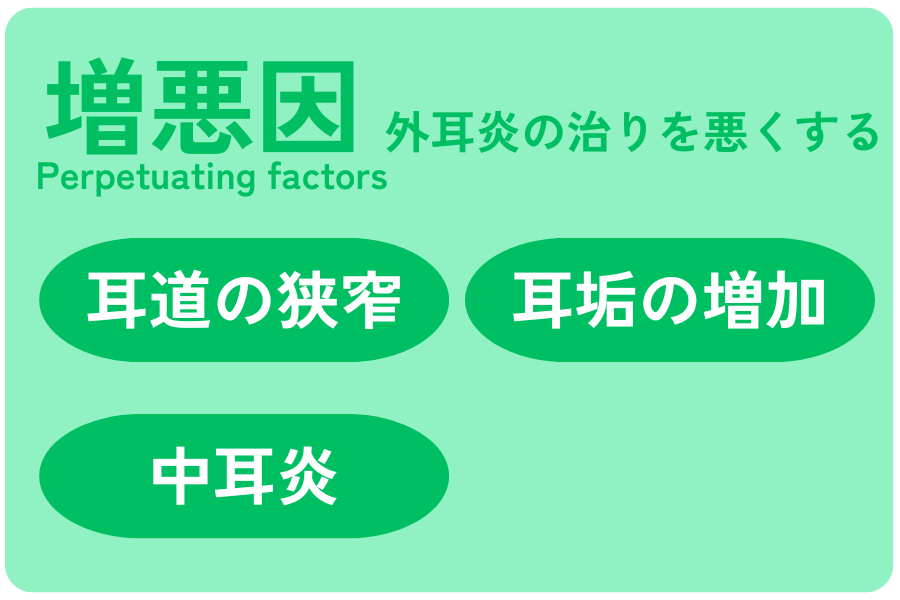 犬の外耳炎の原因におけるPSPP分類のうち増悪因