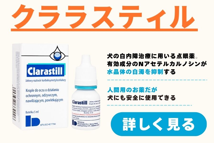クララスティル