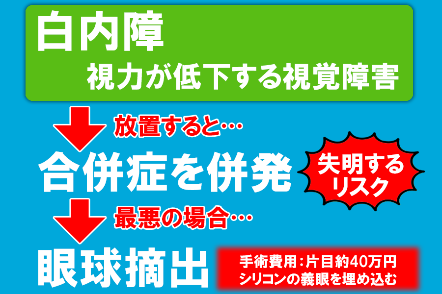 犬 白内障 ほっとくとどうなる