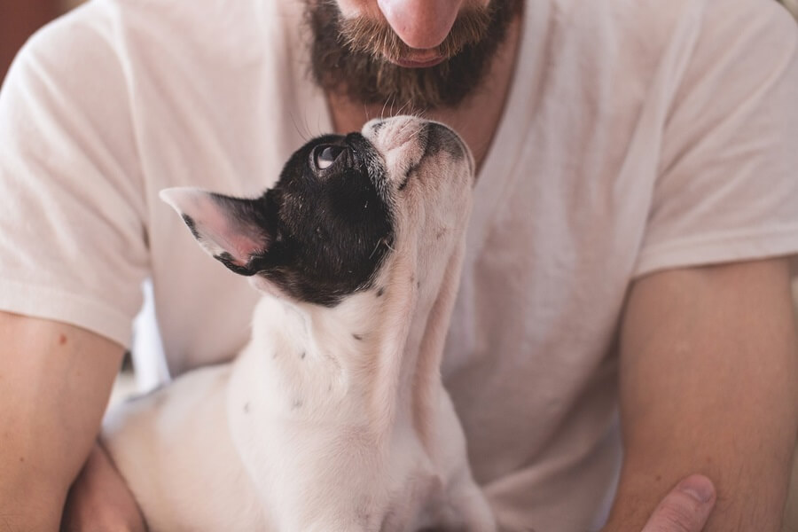 分離不安になりやすい犬の性格・特徴