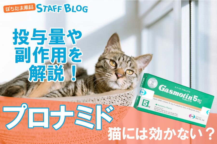 プロナミドは猫には効かない？猫への効果、投与量、副作用について解説