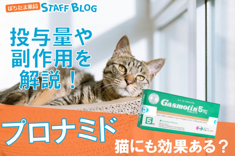 プロナミドは猫に対しても効果ある？使用方法や副作用について解説