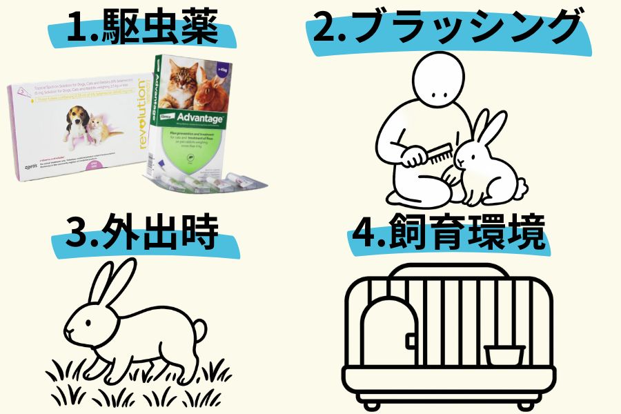 うさぎのノミダニ予防法