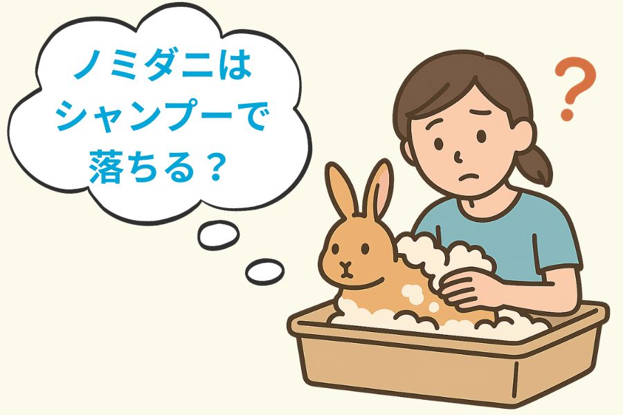 シャンプー（お風呂）でノミダニは取れる？