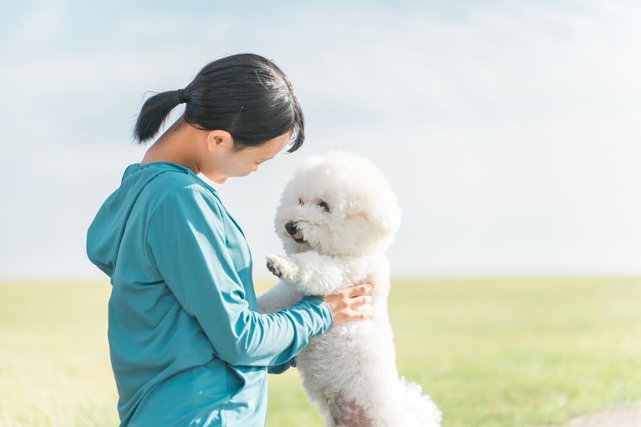 繁殖すると飼い主さんにも被害が出ます